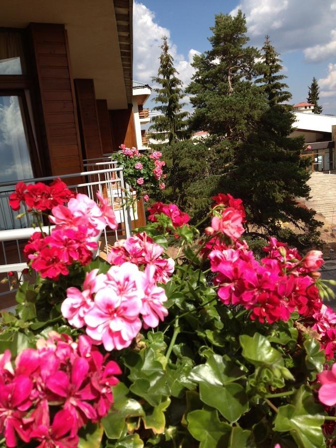 פמפורובו Dafovska Hotel מראה חיצוני תמונה